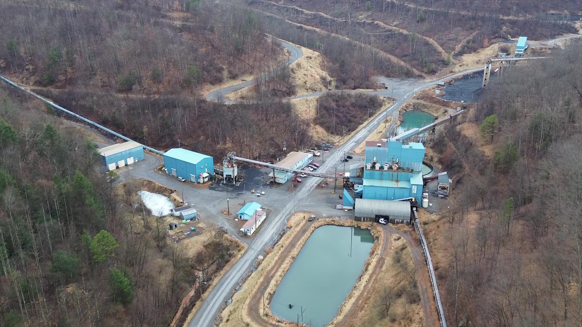 Wash Plant Chestnut 1